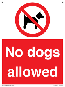 No dogs allowed